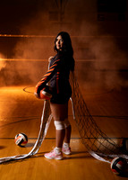 VolleyP-14 copy